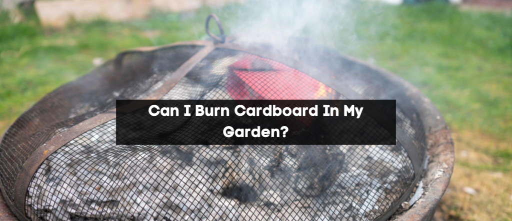 Can I Burn Cardboard In My Garden?