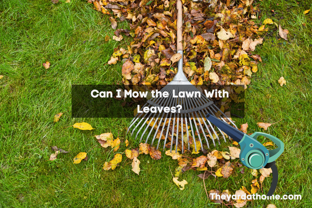 Can I Mow the Lawn With Leaves?