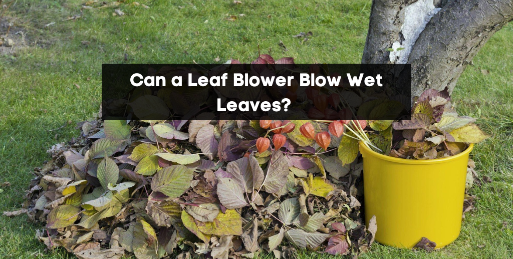 Can a Leaf Blower Blow Wet Leaves