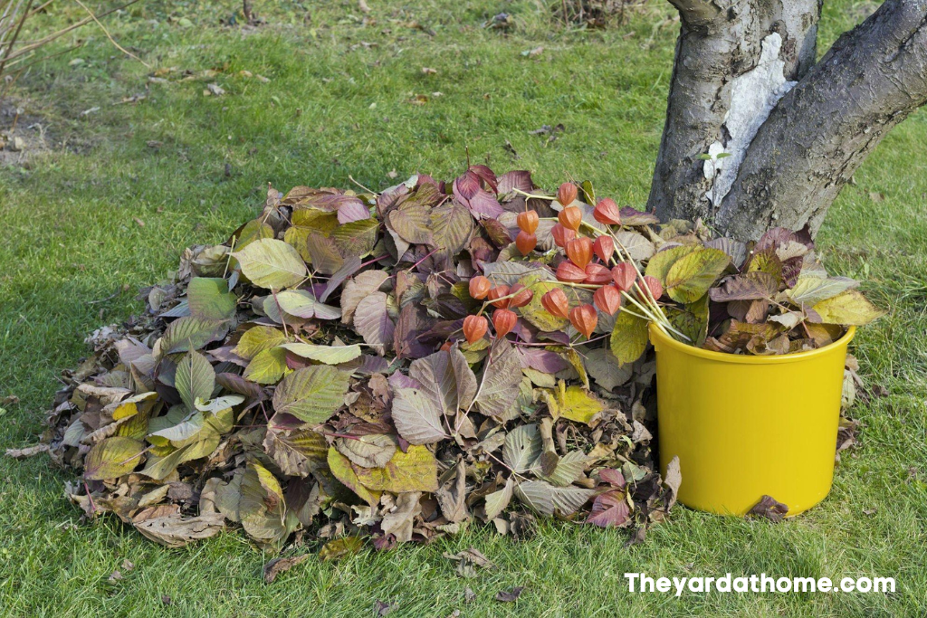 Can a Leaf Bower Remove Wet Leaves From a Pool or Pond 2 -