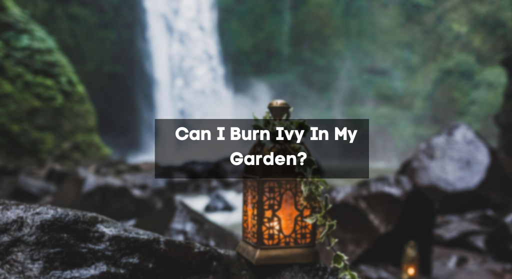 Can I Burn Ivy In My Garden?