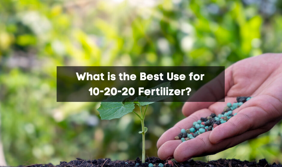 What is the Best Use for 10-20-20 Fertilizer?