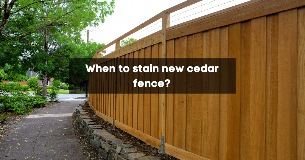 When to stain new cedar fence?