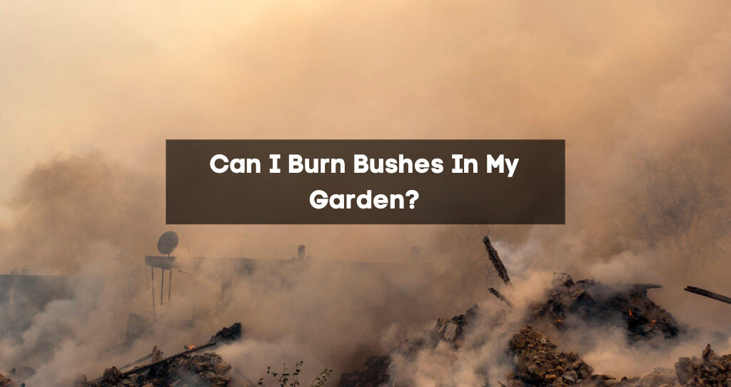 Can I Burn Bushes In My Garden?