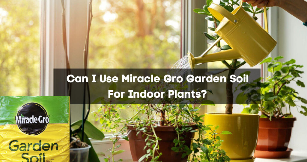 Can I Use Miracle Gro Garden Soil For Indoor Plants?
