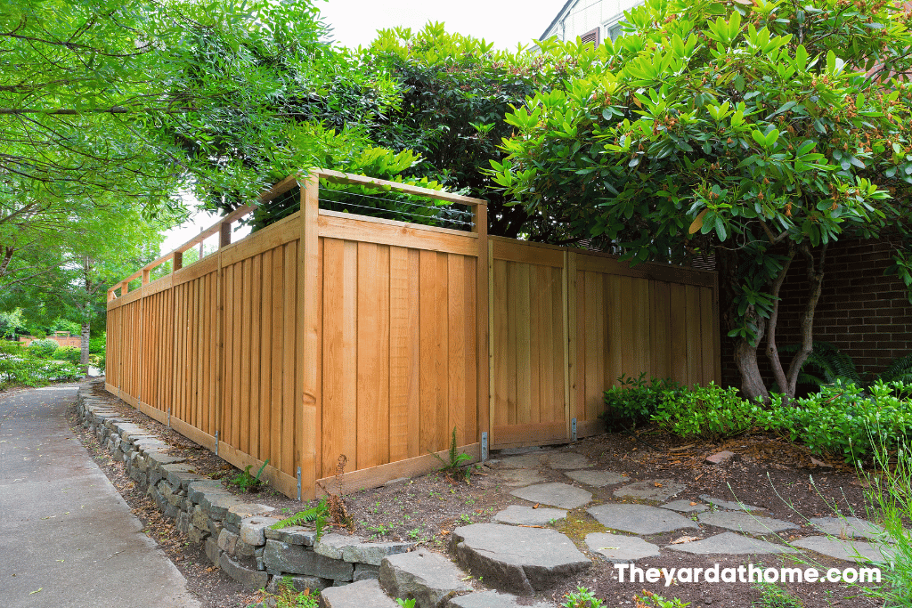 When to stain new cedar fence -