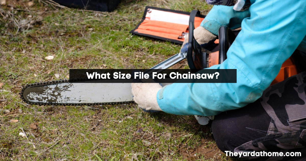 What Size File For Chainsaw?