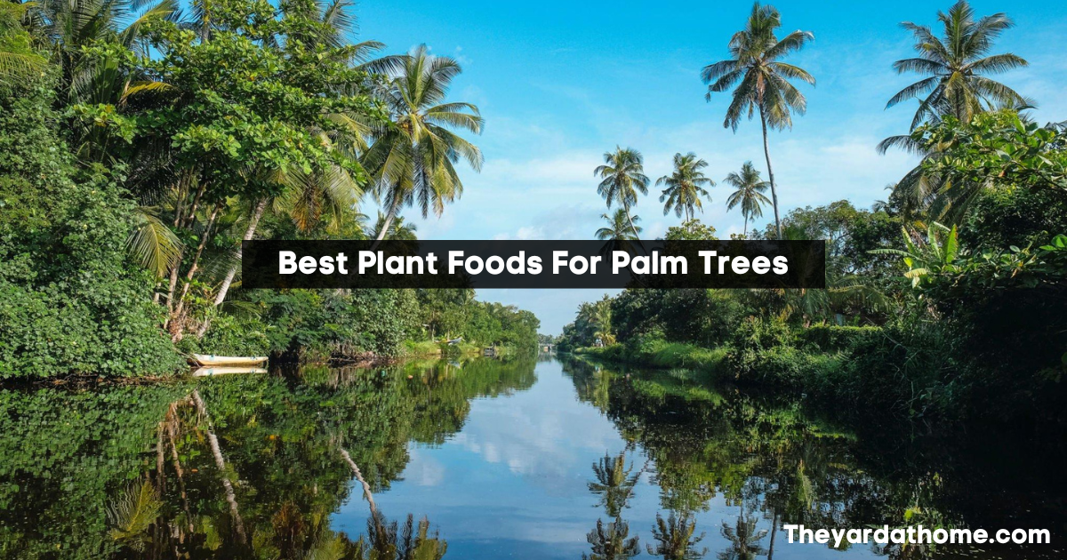 Ultimate Guide to Nourishing Your Trees with the Best Plant Foods