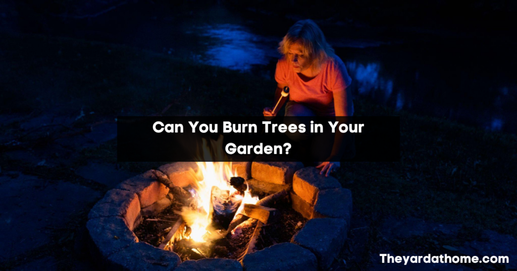Can You Burn Trees in Your Garden?