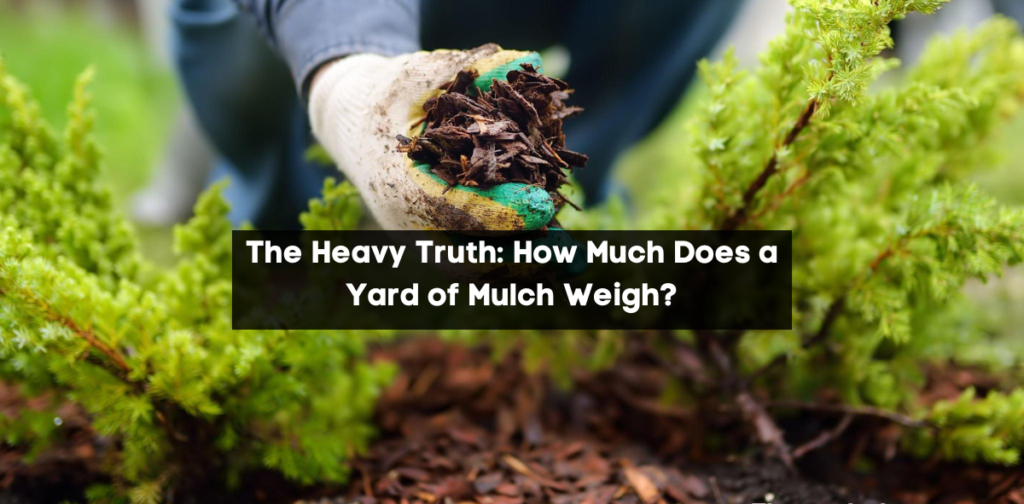 Heavy Truth: How Much Does a Yard of Mulch Weigh?