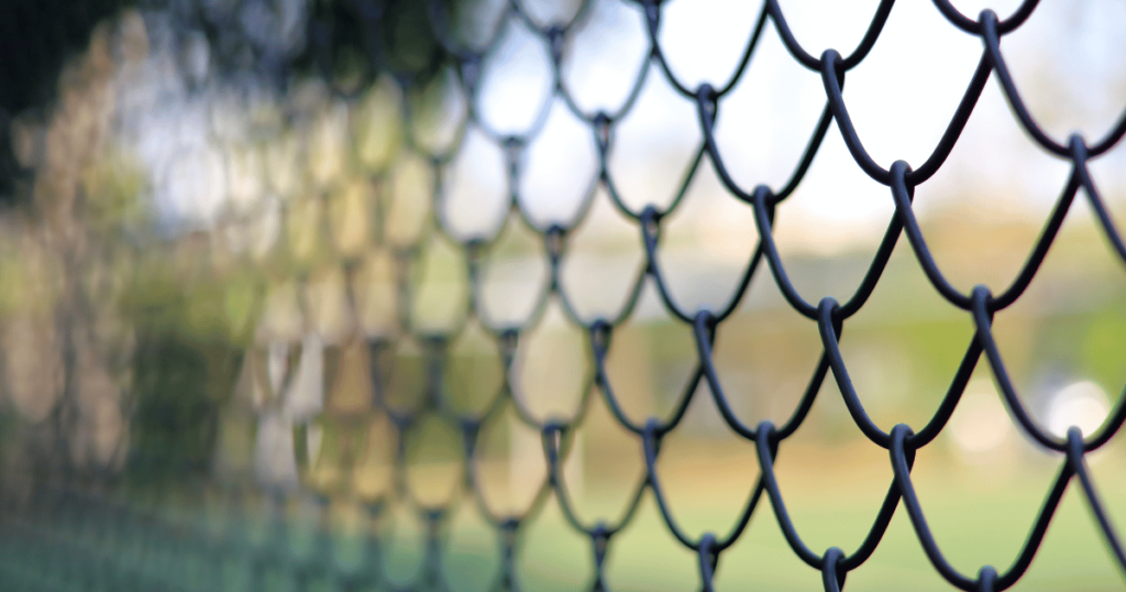 Fences Netting -