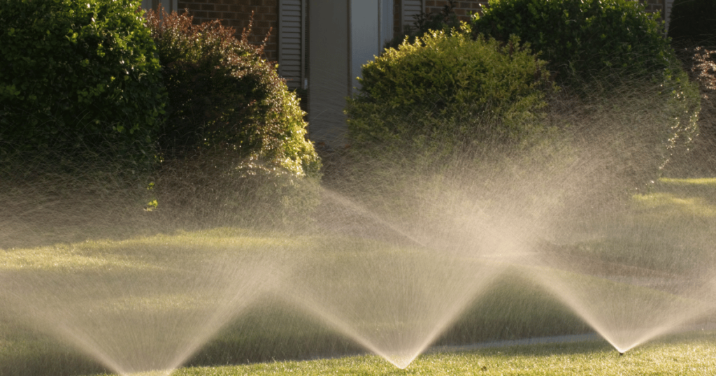 Scarecrow Sprinklers -