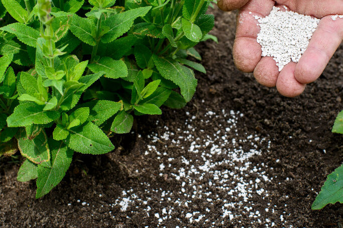What is the Best Use for 10 20 20 Fertilizer edited -